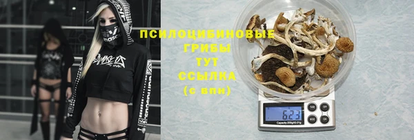 твердый Балахна