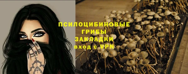 apvp Балабаново