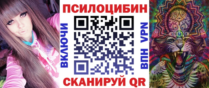 Псилоцибиновые грибы MAGIC MUSHROOMS  Купить  Дрезна 